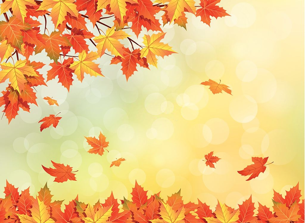 autumn leaves falling