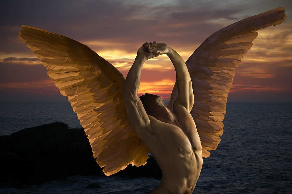 colorful angelic wings