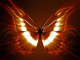 fiery red butterfly