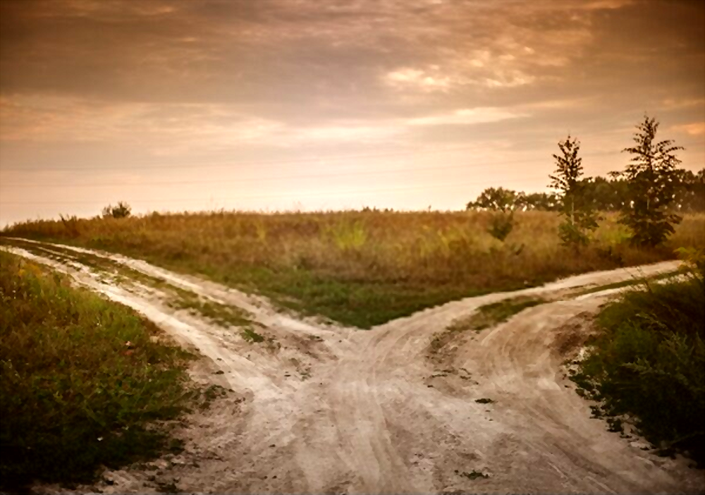 fork in country road