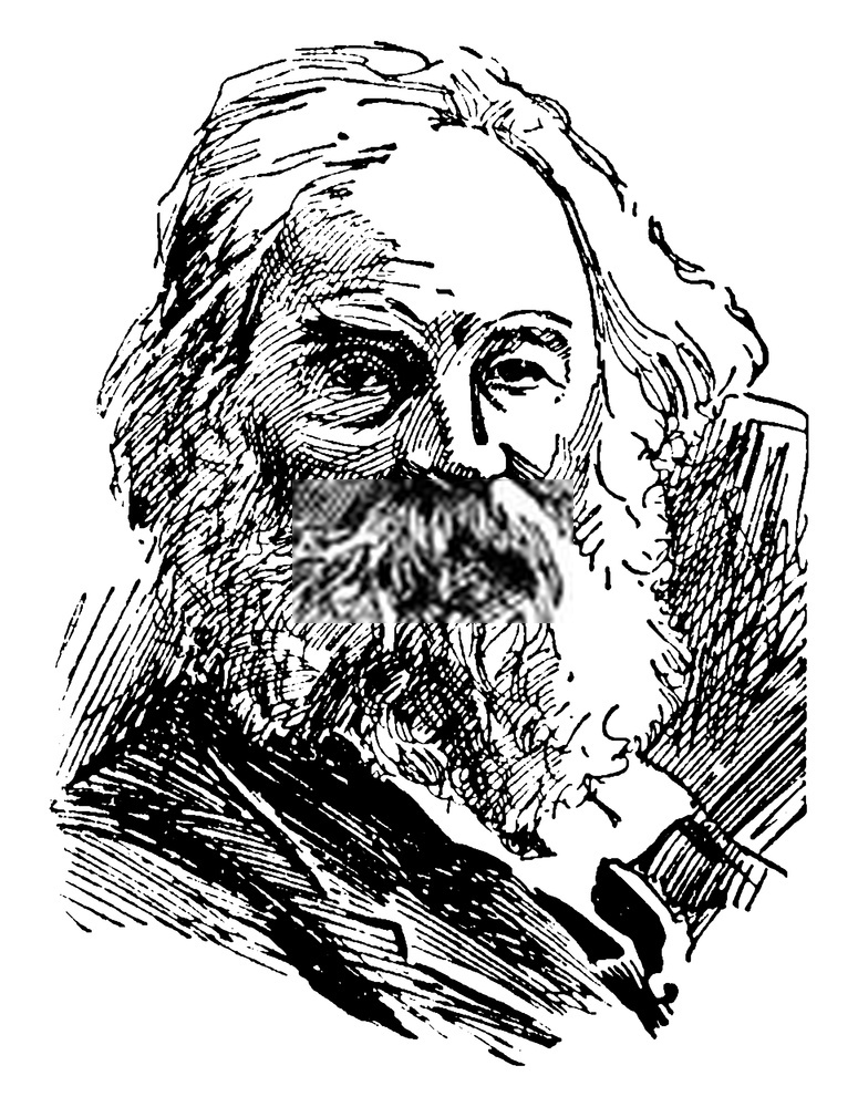 walt whitman