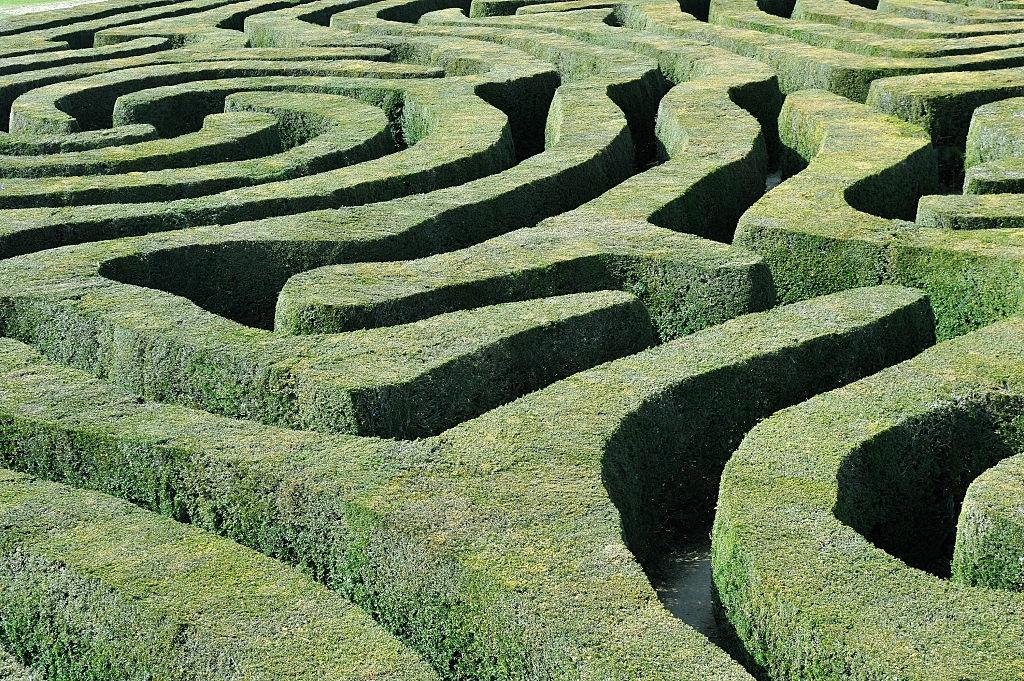 hedge maze